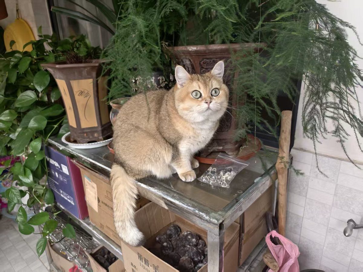 坐在花架旁
